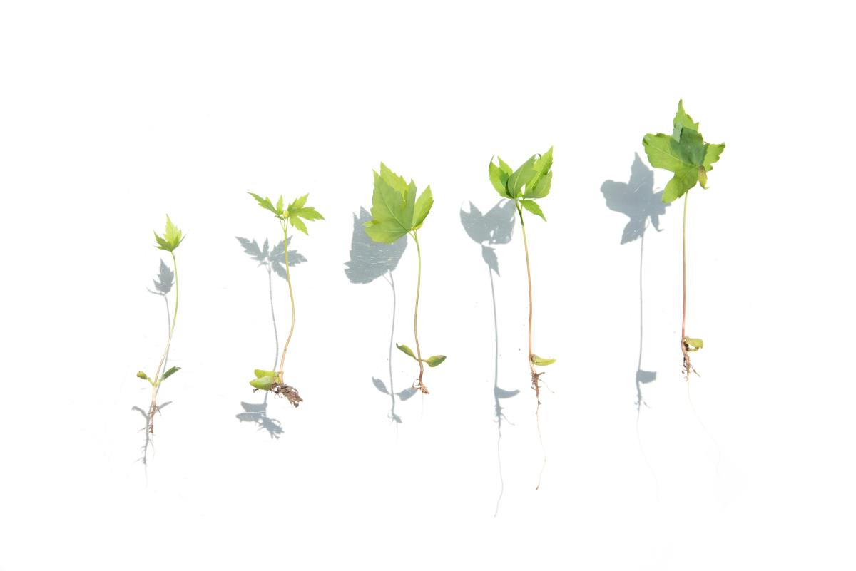 Semantic Layer en 2026: de “capa de BI” a infraestructura crítica para AI Agents (y por qué OSI lo cambia&nbsp;todo)